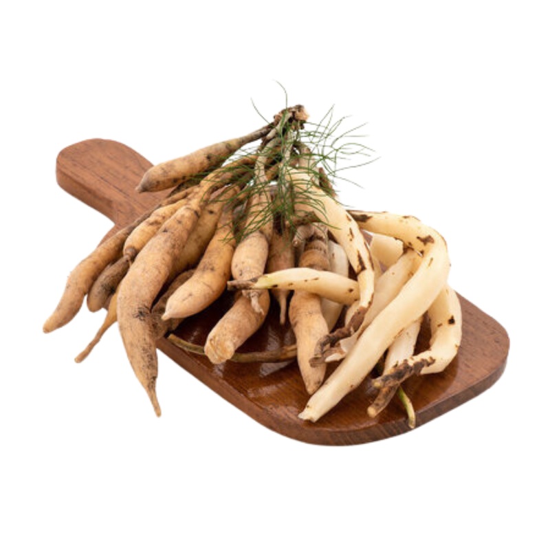 tinh chất Asparagus racemosus extract